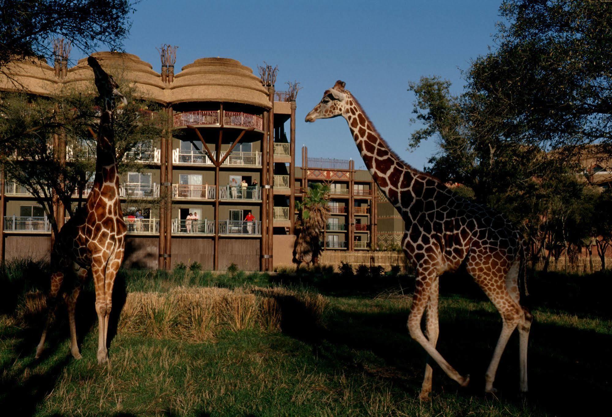 Disney'S Animal Kingdom Villas - Kidani Village Lacul Buena Vista Exterior foto